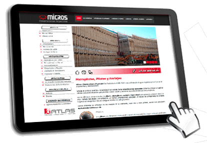 web corporativa de Micros